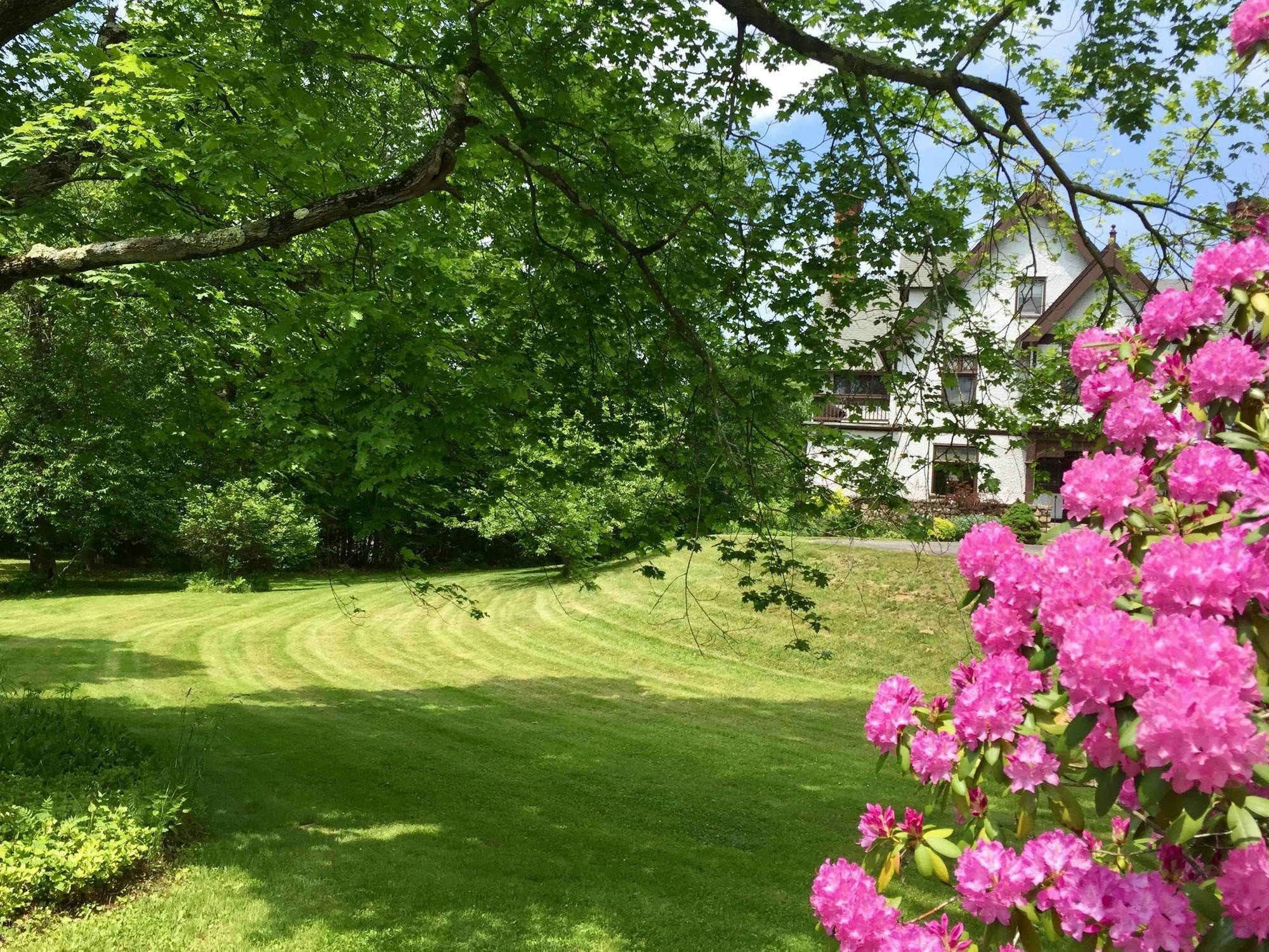 Manor House Bed & Breakfast Norfolk Kültér fotó